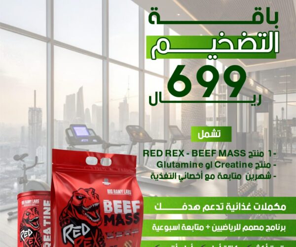 باقة التضخيم 669 باقة التضخيم 669